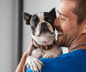 Un hombre sonriente con bata azul abraza a un perro Boston Terrier, reflejo de los cuidados promovidos por la Nueva Ley de Bienestar Animal. El hombre parece feliz y cariñoso, mientras que el perro mira tranquilamente a la cámara.