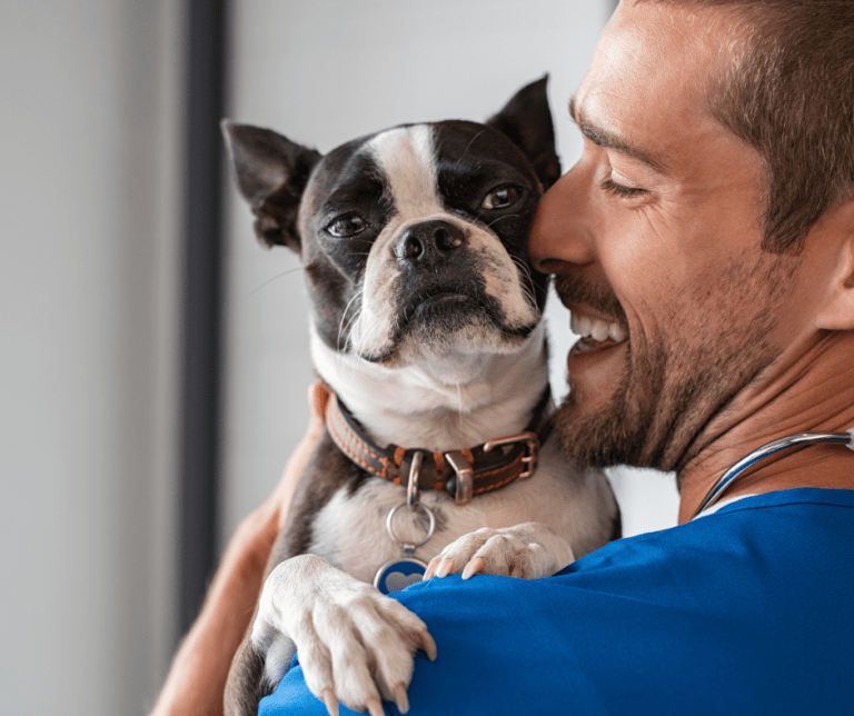 Un hombre sonriente con bata azul abraza a un perro Boston Terrier, reflejo de los cuidados promovidos por la Nueva Ley de Bienestar Animal. El hombre parece feliz y cariñoso, mientras que el perro mira tranquilamente a la cámara.
